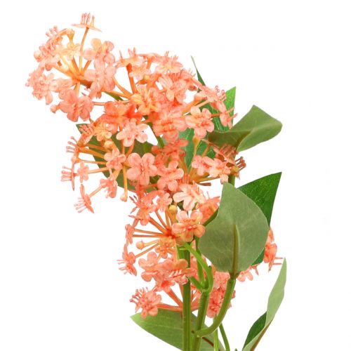 Floristik24 Lantana branch artificial peach 80cm