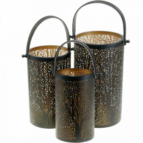 Floristik24 Metal lantern, lantern with tree, autumn decoration, black, golden Ø20 / 19 / 14cm H23.5 / 17 / 12.5cm