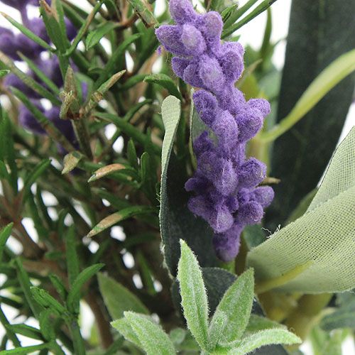 Floristik24 Lavender Rosemary Bunch 20cm