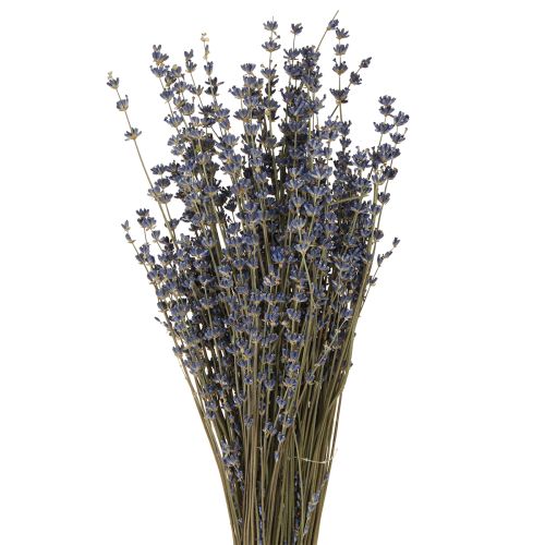 Product Lavender Dried Flowers Decoration Natural 100g 40cm 100g × 2pcs