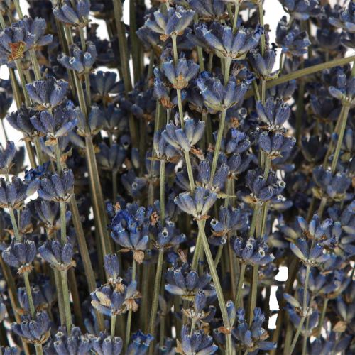 Product Lavender Dried Flowers Decoration Natural 100g 40cm 100g × 2pcs