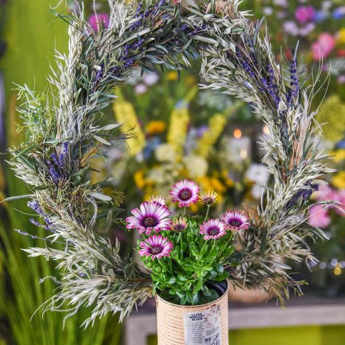 Product Dried Lavender Bunch Dried Flower Blue 25cm 75g