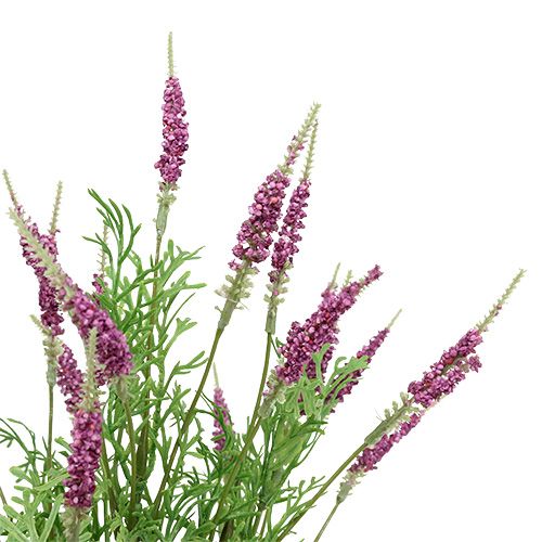 Product Lavender bush purple 43cm