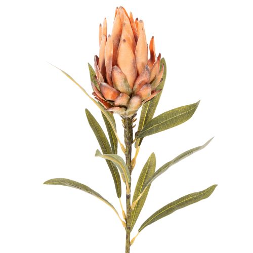 Artificial Protea Leucadendron Flower with Long Stem 65cm, Set of 3 in Cream, Yellow, and Orange | Floristik24.co.uk