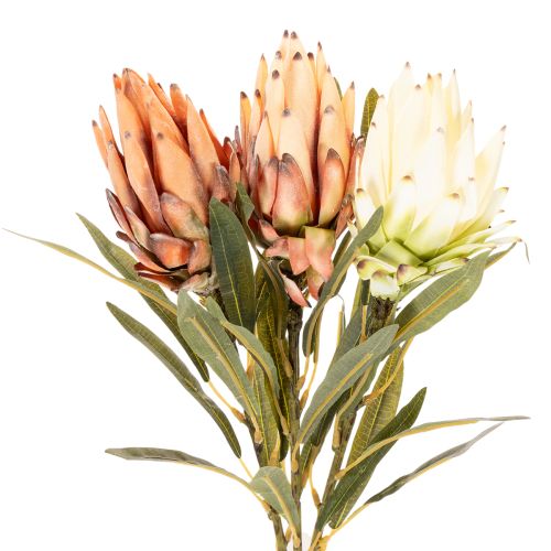 Artificial Protea Leucadendron Flower with Long Stem 65cm, Set of 3 in Cream, Yellow, and Orange | Floristik24.co.uk