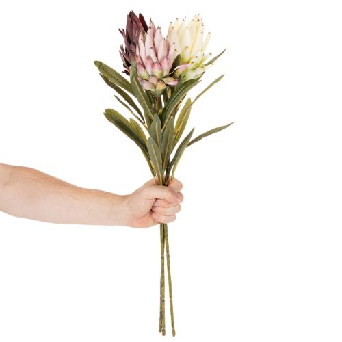 Artificial Protea Leucadendron Flowers, 100cm, 3 Stems, Cream, Burgundy, Pink | Floristik24.co.uk