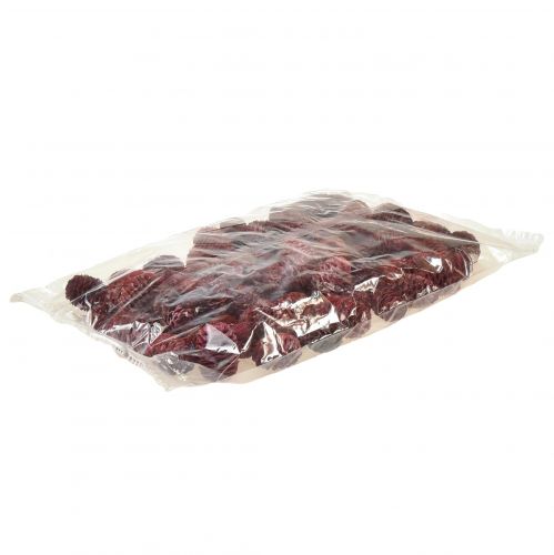 Product Leucadendron Sabulosum Cones in Red Frosted 500g