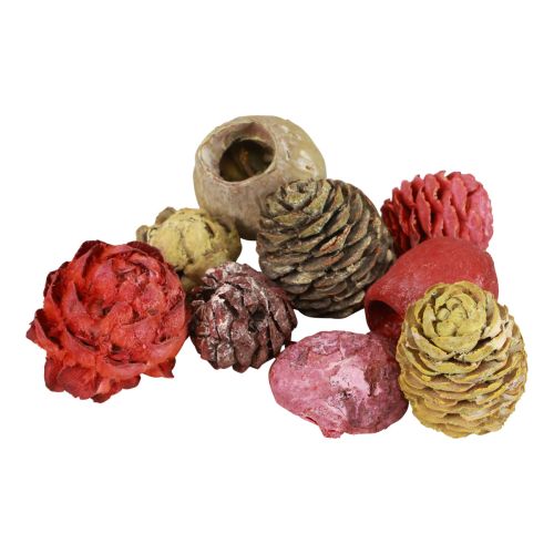 Product Leucadendron cones Bellgum Green Red Yellow Frosted 300g