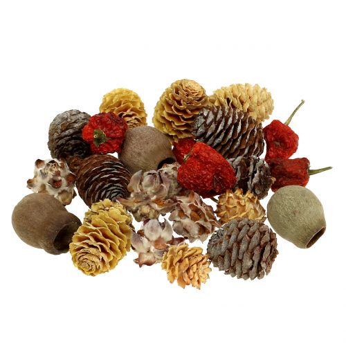 Floristik24 Exotic mix of dried fruits and cones natural 500g