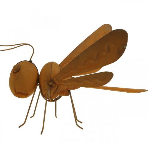 Floristik24 Decorative dragonfly, bed decoration, garden figure patina L28cm H21cm