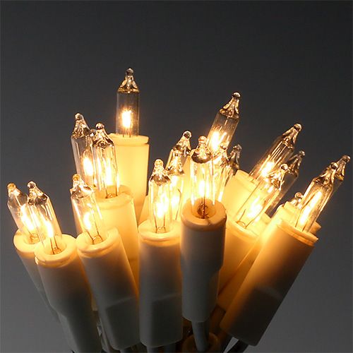 Floristik24 Fairy lights mini 20s 3m for indoor white / clear