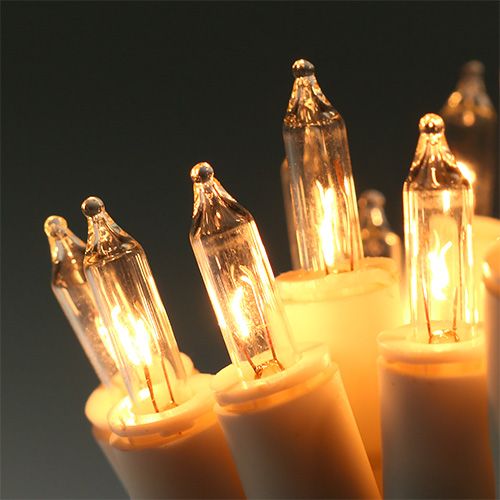 Floristik24 Fairy lights mini 20s 3m for indoor white / clear