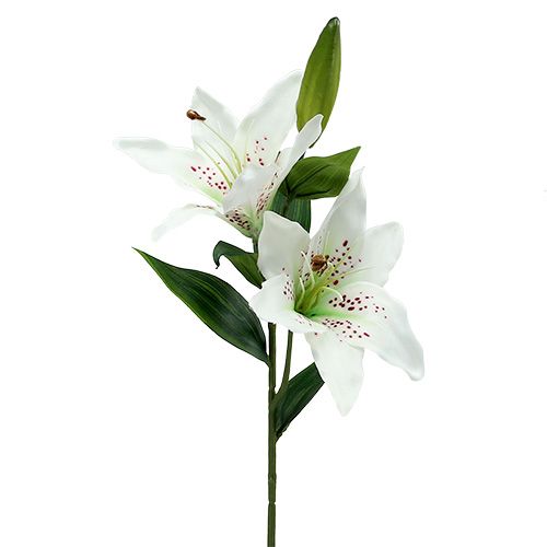 Floristik24 Lily White 66cm