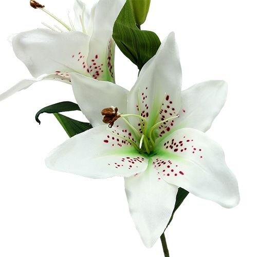 Floristik24 Lily White 66cm