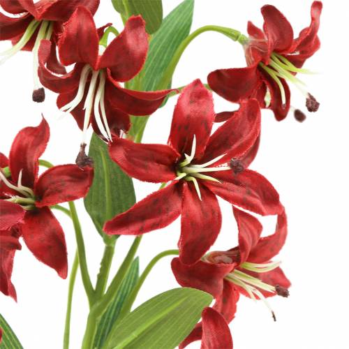 Product Lily red 82cm