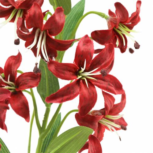 Floristik24 Lily red 82cm