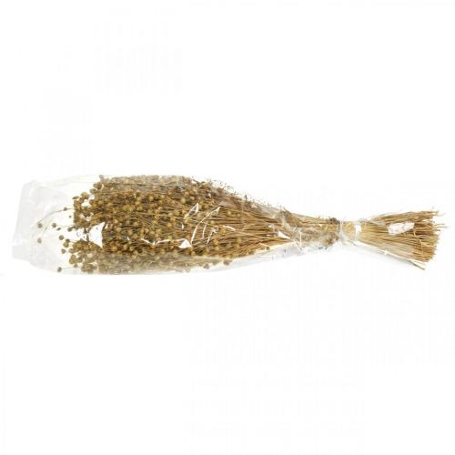Floristik24 Natural flax, grasses for dry floristry, Linum natural product 160g