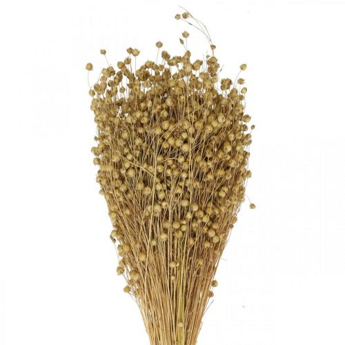 Natural flax, grasses for dry floristry, Linum natural product 160g