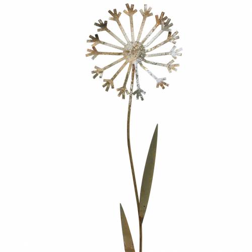 Floristik24 Garden plug dandelion rusty metal Ø10 H49cm