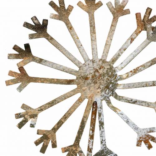 Floristik24 Garden plug dandelion rusty metal Ø10 H49cm