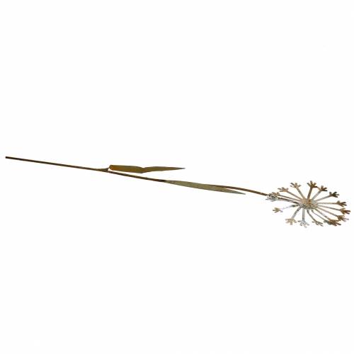 Floristik24 Garden plug dandelion rusty metal Ø10 H49cm