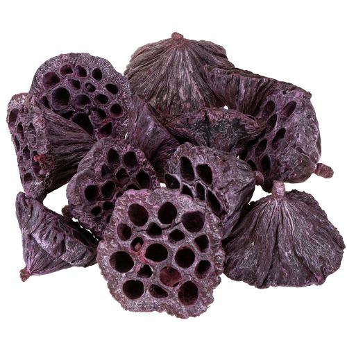 Product Lotus pods Dried lotus Pink White washed Ø6-9cm 50pcs