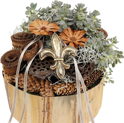 Product Lotus piston medium 100 pcs natural