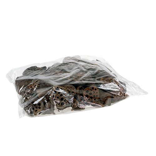 Product Dried lotus pods Medium seed pods Natural Ø5-9cm 100pcs