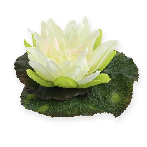 Floristik24 Lotus flower floating 18cm white 3pcs