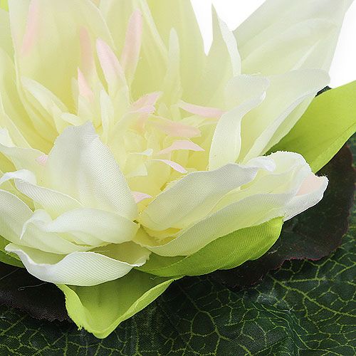 Product Lotus flower floating 18cm white 3pcs