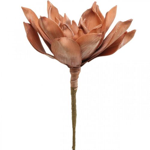 Floristik24 Lotus Flower Artificial Plant Artificial Lotus Flower Brown L64cm