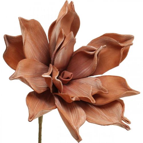 Floristik24 Lotus Flower Artificial Plant Artificial Lotus Flower Brown L64cm