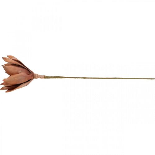 Floristik24 Lotus Flower Artificial Plant Artificial Lotus Flower Brown L64cm