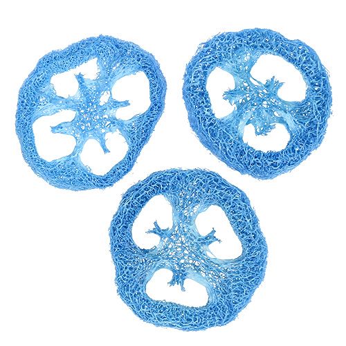 Floristik24 Luffa Discs Sky Blue 25 pcs