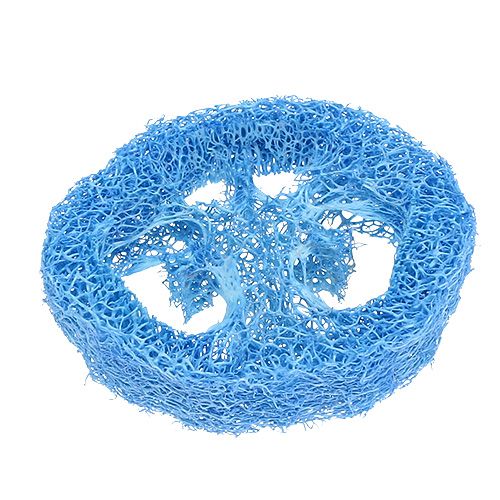 Floristik24 Luffa Discs Sky Blue 25 pcs