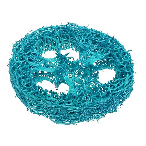 Product Loofah discs turquoise 25pcs