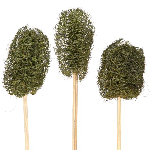 Floristik24 Luffa small on a stick sponge cucumber dark green 5-7cm 25 pcs