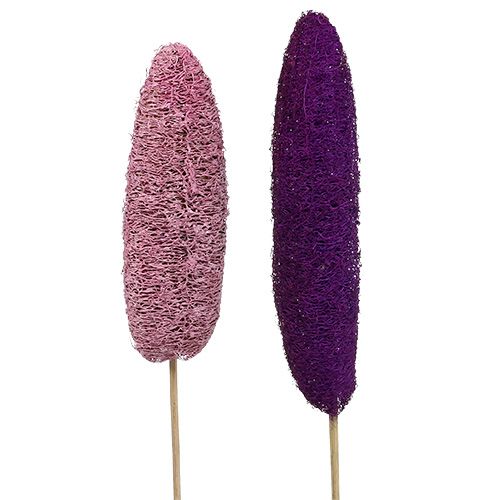 Floristik24 Loofah on a stick large pink, heather 8cm - 30cm 25p