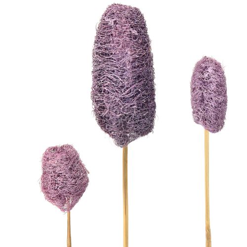 Luffa on a stem Small Dried natural decor Berry 5-12cm 25pcs
