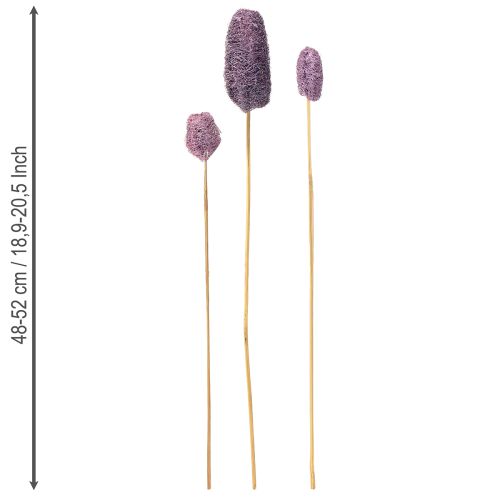 Product Luffa on a stem Small Dried natural decor Berry 5-12cm 25pcs