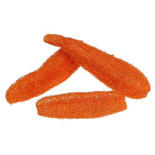 Floristik24 Loofah big orange 20pcs