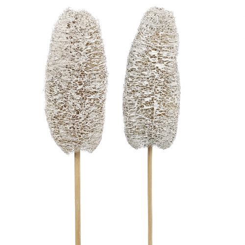 Floristik24 Luffa small on a stick washed white 25pcs