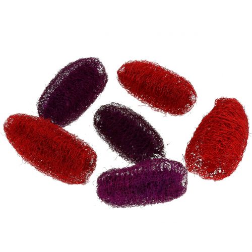 Floristik24 Luffa assorted purple, wine red 9cm - 12cm 50pcs