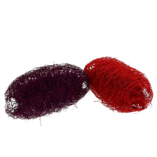 Floristik24 Luffa assorted purple, wine red 9cm - 12cm 50pcs