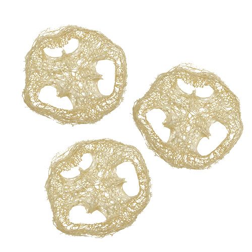 Floristik24 Luffa discs bleached Ø5cm 48 pcs