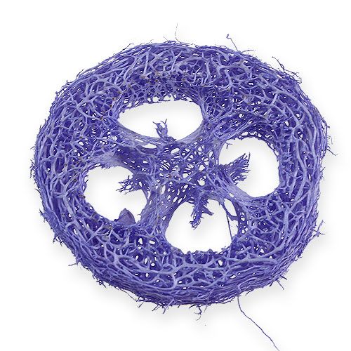 Floristik24 Luffa Discs Light Purple 25 pcs