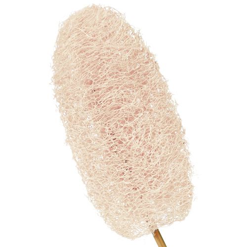 Product Luffa small on a stick bleached 25 pcs