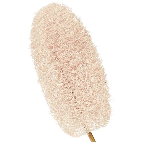 Product Luffa small on a stick bleached 25pcs