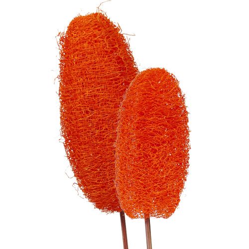 Floristik24 Luffa large on a stick orange 25pcs