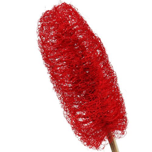 Product Luffa small on a stick red 25pcs